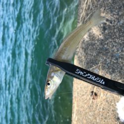 キスを求めて②