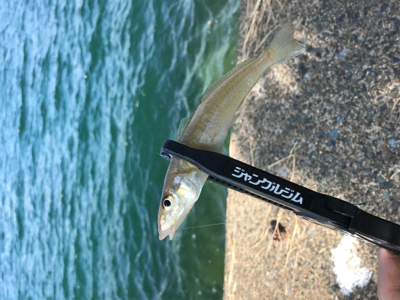 キスを求めて②