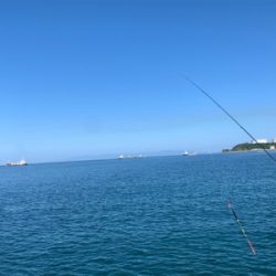 タチウオ釣れました