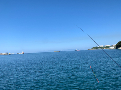 タチウオ釣れました