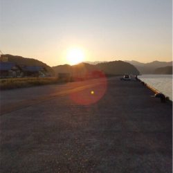 1年ぶりに釣れた青物！