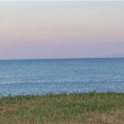 真夏のマゴチ サイズが・・