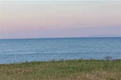 真夏のマゴチ サイズが・・