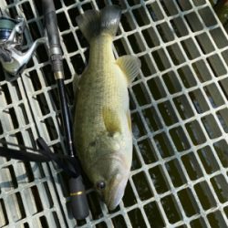 久々の嫁とのバス釣り。