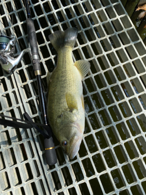 久々の嫁とのバス釣り。