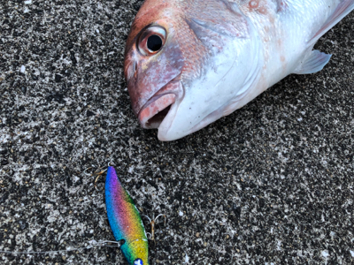 020822ショアレッド