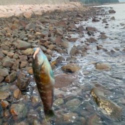 フロート・ガシリングと、ベリング