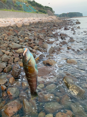 フロート・ガシリングと、ベリング