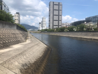 前打ちプラクティス