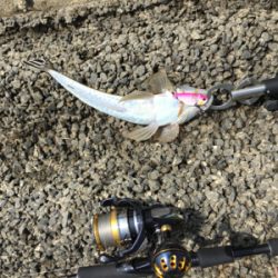 真夏の吹上浜はアツイ