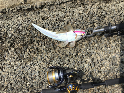 真夏の吹上浜はアツイ