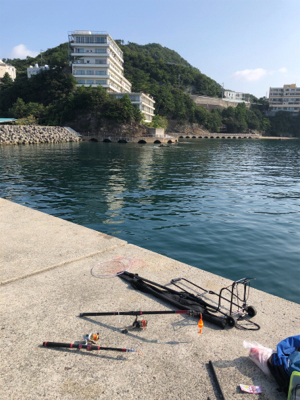 皆さん急いでー！②