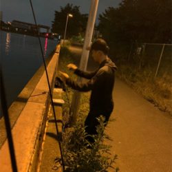 バスがいたよ！