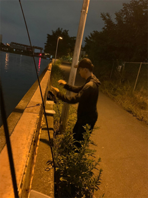 バスがいたよ！