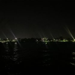 ケンサキイカ③