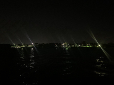 ケンサキイカ③