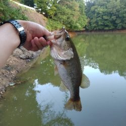 リザーバー釣行