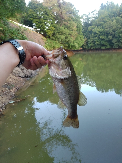 リザーバー釣行