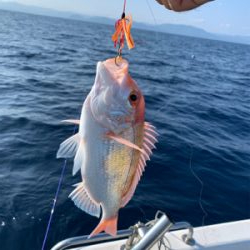 真夏のマイボート釣行