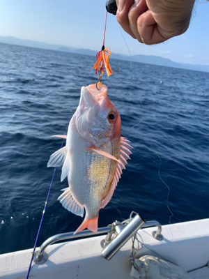 真夏のマイボート釣行
