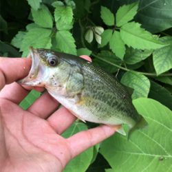 枚方　天の川合流地点