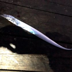 約1か月ぶりの釣行‼️