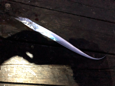 約1か月ぶりの釣行‼️