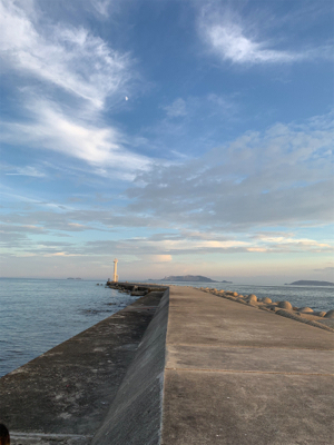 チャリコいっぱい