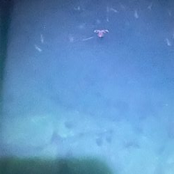 まだ小さいけど何とか一杯