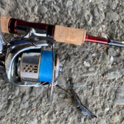 ハゼと手長エビ