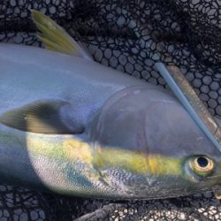 オフショアジギング