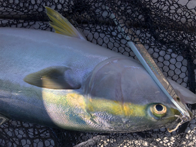 オフショアジギング