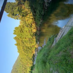 美山今シーズンラスト釣行