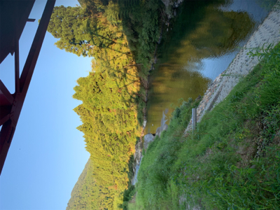 美山今シーズンラスト釣行