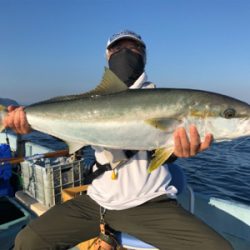 ベイトたくさん