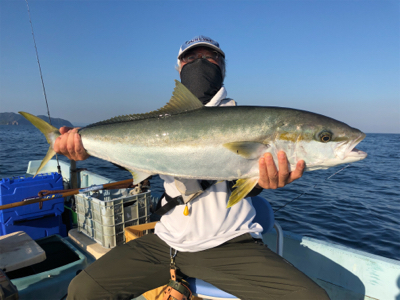 ベイトたくさん