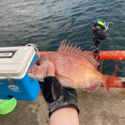 夕まずめなのに…