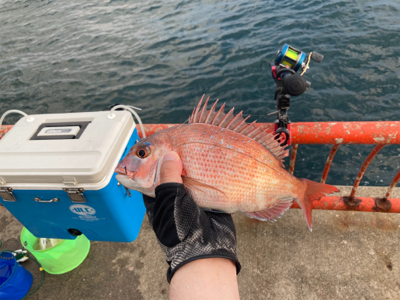 夕まずめなのに…