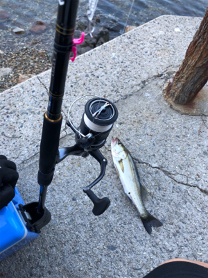 3連敗は阻止！（笑）