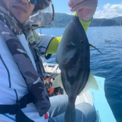 マイボートでアマダイ狙い。8目釣り達成!レンコダイとエソは高活性!