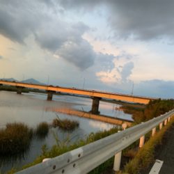 シーバスポーズ