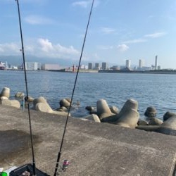 メジロ　神戸和田防新波止