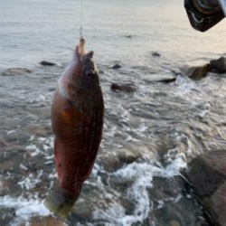 フロート　ガシリング&ベリング