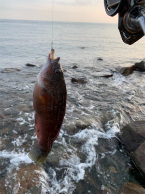 フロート　ガシリング&ベリング