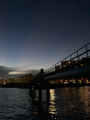 イイ引きで楽しめました!