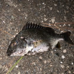 マイクロチニング