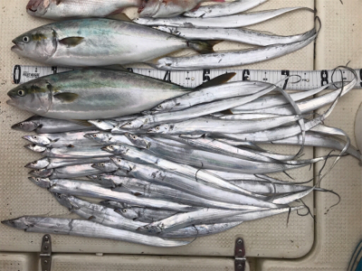 ジギング　キャスティング