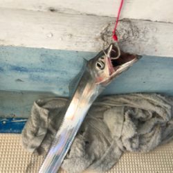 テンヤとジギング