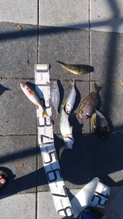 8/15釣果☆花火大会☆バリアジツバス