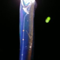 今シーズン初陣